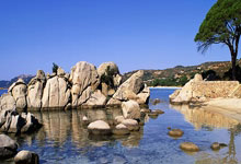 爱游戏:多支队伍首次亮相!哈尔滨亚冬会,参赛人数创纪录环球时报.